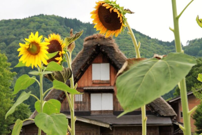 Kanazawa to Shirakawago: Half-Day Tour - Exclusions
