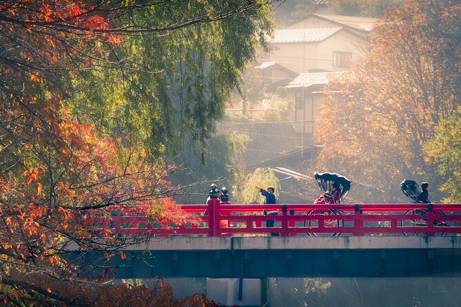 Kanazawa to Shirakawago to Takayama: English Speaking Driver Only - Weather Conditions and Alternatives