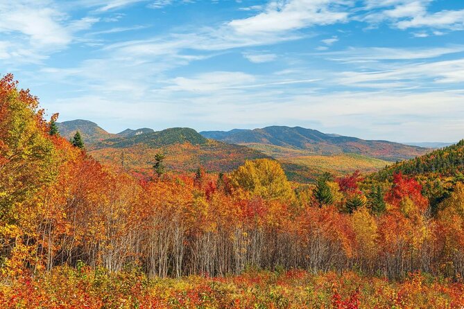 Kancamagus Scenic Byway Audio Driving Tour Guide - Accessibility and Convenience of App