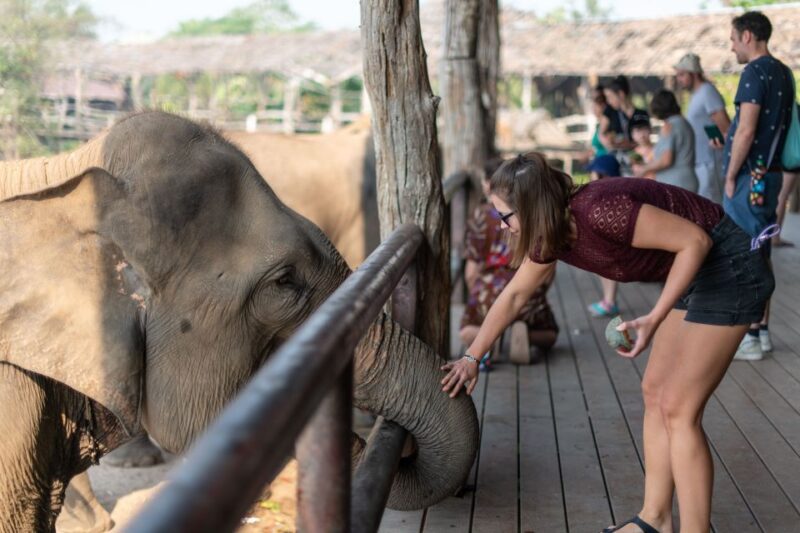 Kanchanaburi: Elephant Sanctuary & Erawan Waterfall Tour - Interaction With Elephants