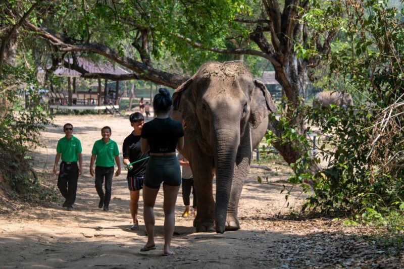 Kanchanaburi: Elephant Sanctuary & Erawan Waterfall Tour - Erawan National Park
