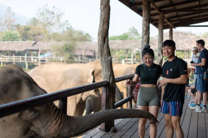 Kanchanaburi: Elephant Sanctuary & Erawan Waterfall Tour - Inclusions and Packing