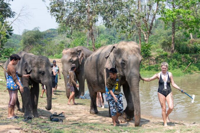 Kanchanaburi: Elephant Sanctuary & Erawan Waterfall Tour - Frequently Asked Questions