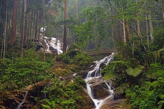 Kanching Waterfall Tour With Batu Caves Stopover - Visiting Batu Caves
