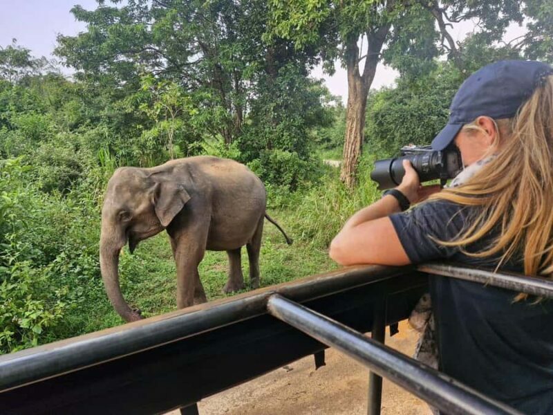 Kandy: 4-Day Sri Lanka Full Circle Private Tour To Colombo - Who Should Consider This Tour
