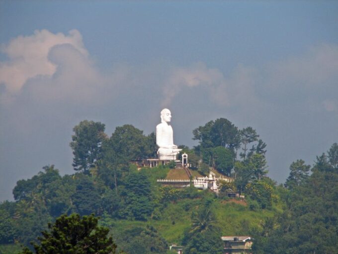 Kandy: All Inclusive City Tour - Diverse Botanical Garden
