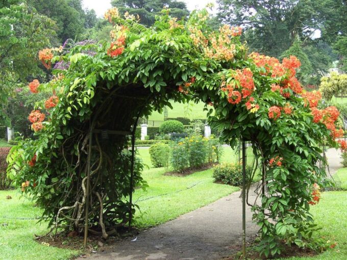 Kandy: All Inclusive City Tour - Frequently Asked Questions