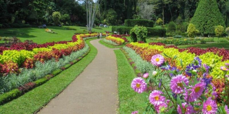 Kandy and Pinnawala: Private Day Trip From Colombo Harbor - Pickup and Itinerary