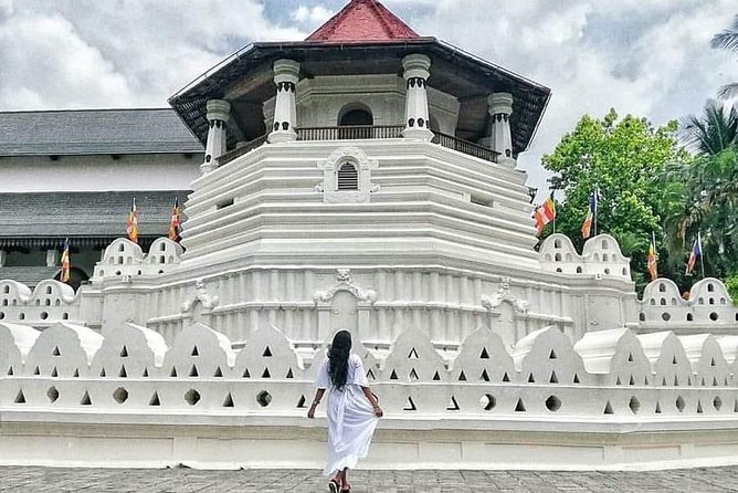 Kandy City Day Tour and Trip Private Luxury Car and Van - Participant Information