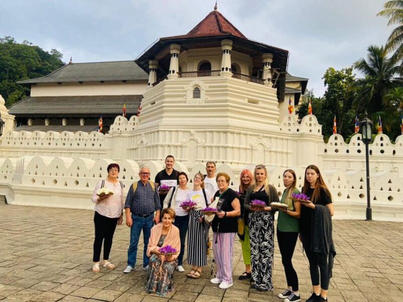 Kandy City Day Tour: Private Luxury Car and Van ( Taxi ) - Cultural Experiences