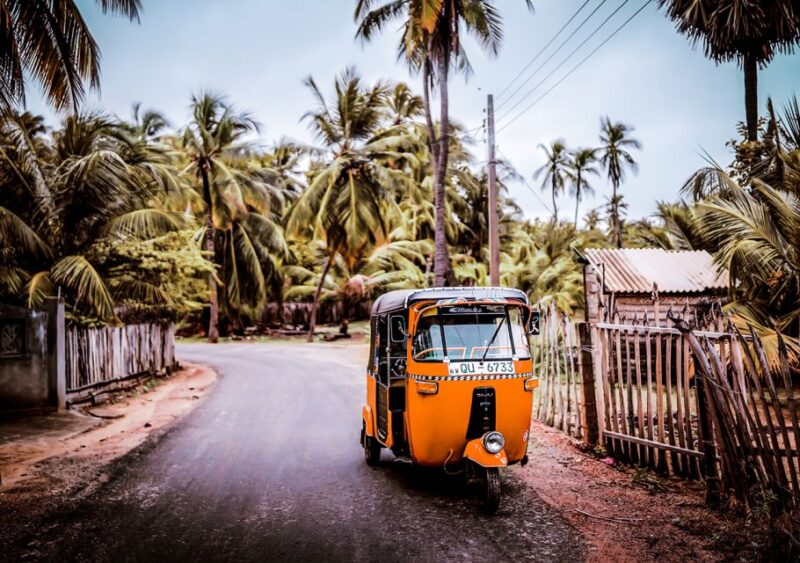 Kandy: City Tour by Tuk-Tuk With Lunch and Dance Performance - Cultural Experience