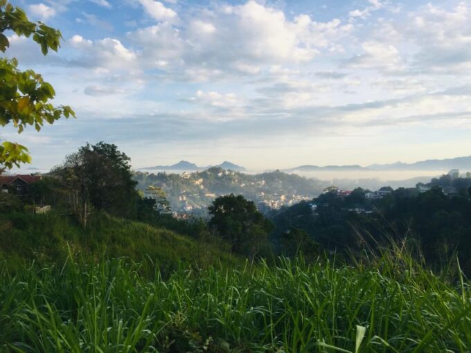 Kandy City Tour by Tuktuk With Recommended Guide - Optional Activities
