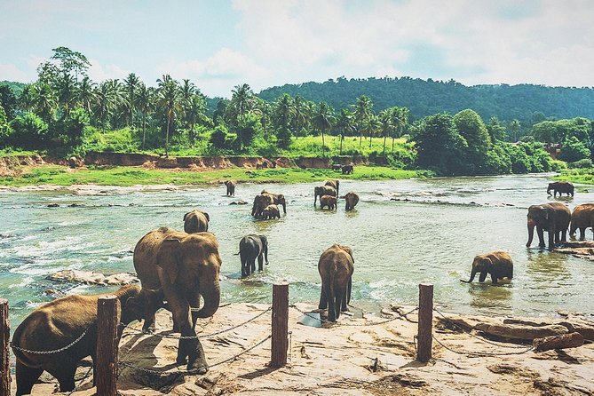 Kandy City Tour for Couple Price - Transportation Details