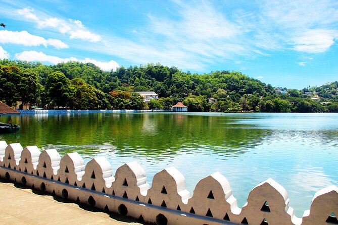 Kandy City Tour From Negombo - Indulging in Kandys Culinary Delights