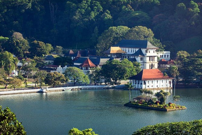 Kandy City Tour Review: A Memorable Experience - Meeting and Pickup Details