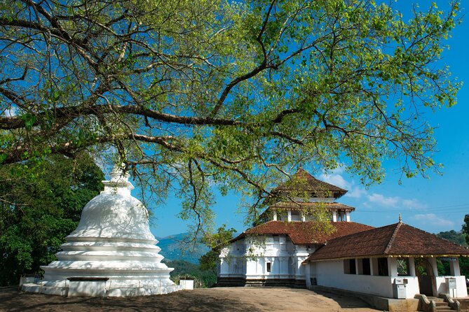 Kandy City Tour Review: A Memorable Experience - Exploring the Holy City