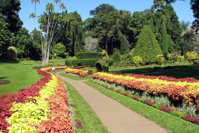 Kandy City Tour - Tuk Tuk - Royal Botanical Gardens