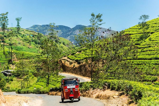Kandy City Tour - Tuk Tuk - Booking Details