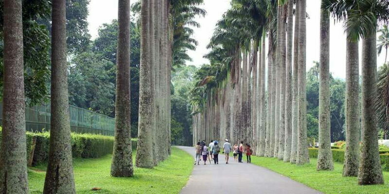 Kandy City Tour With Ambuluwawa Tower - Key Points
