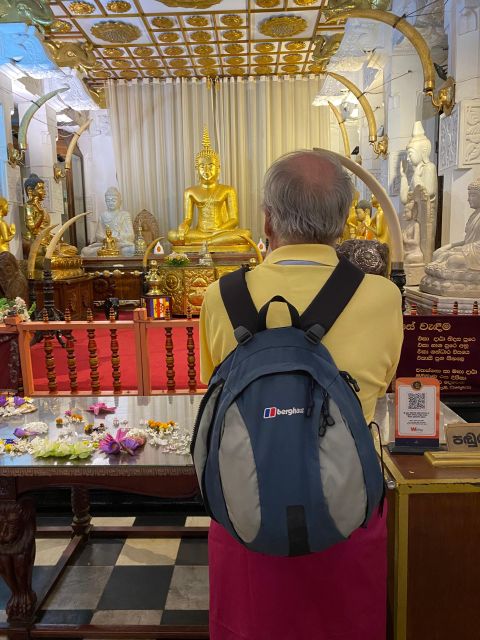 Kandy City Tour With Micheal by Tuk Tuk - Key Points