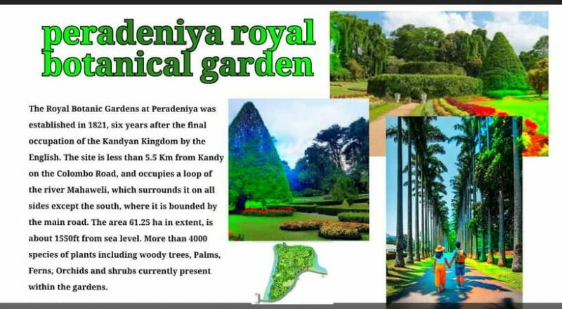 Kandy: City Tour with Temple of the Tooth & Tea Garden - Key Points