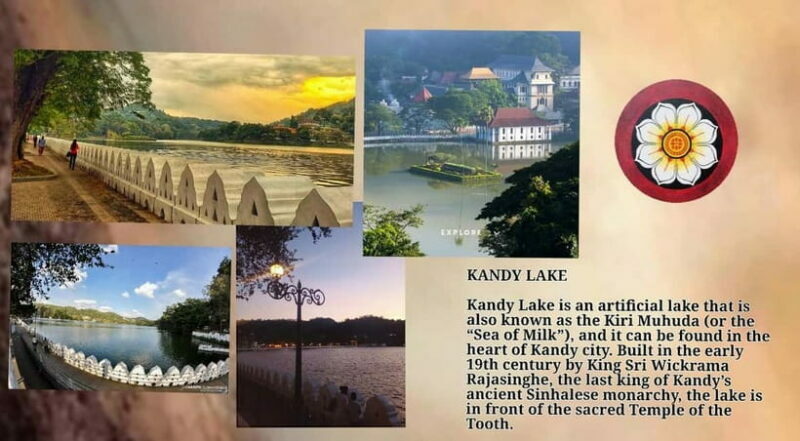 Kandy: City Tour with Temple of the Tooth & Tea Garden - An In-Depth Look at the Tour Experience