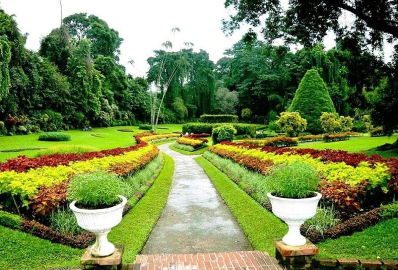 Kandy City Tours With Ambuluwawa Tower - Included and Excluded Features