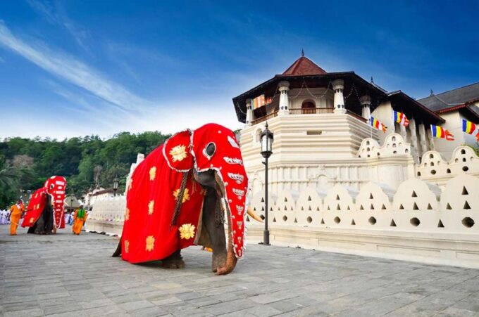 Kandy City Tours With Ambuluwawa Tower - Frequently Asked Questions