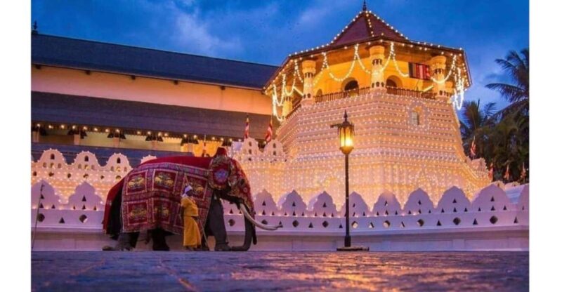 Kandy : City Tuk Tuk Day Tours (By Local Guide) - Pickup Locations
