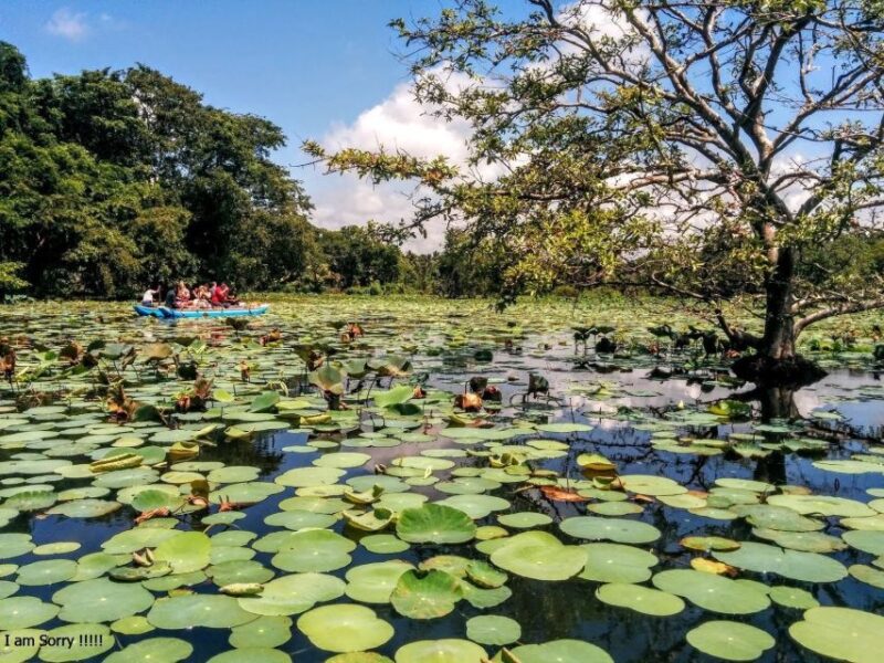Kandy: Dambulla Cave Temple & Traditional Village Tour - Hiriwadunna Village Experience