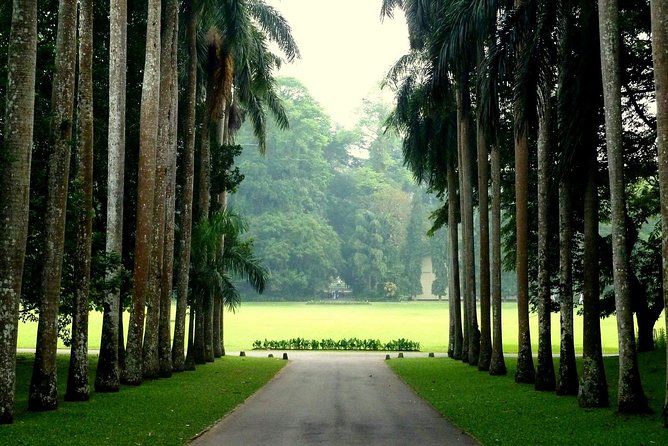 Kandy Day Tour - Meeting and Pickup