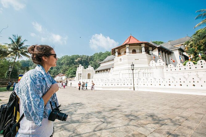 Kandy Day Tour From Colombo - Tour Overview