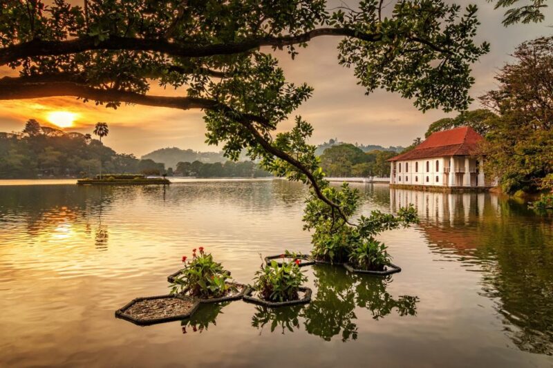 Kandy Day Tour From Colombo by Car / Van - Transportation and Inclusions