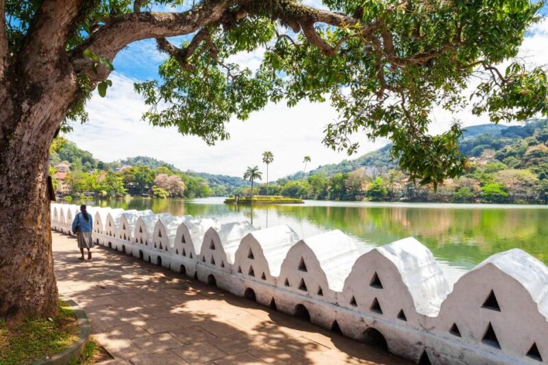 Kandy Day Tour From Colombo by Car / Van - Frequently Asked Questions