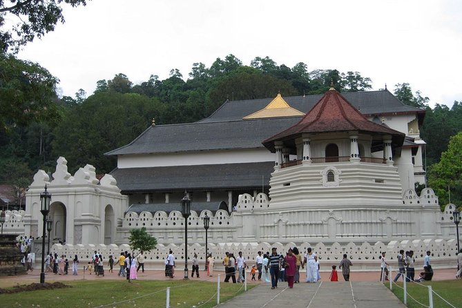 Kandy Day Trip With Tooth Relic Temple & Unique Attractions - Inclusions