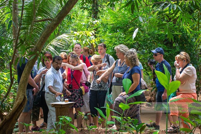 Kandy Day Trip With Tooth Relic Temple & Unique Attractions - Memorable Experiences