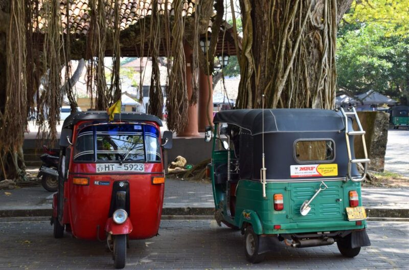 Kandy: Guided City Tour With Tuk Tuk Transfers - Key Points