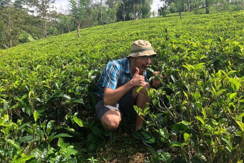 Kandy: Highlands Highlights Day Tour - Experience Details