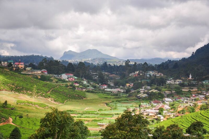 Kandy: Highlands Highlights Day Tour - Discover Sri Lankas Highlands