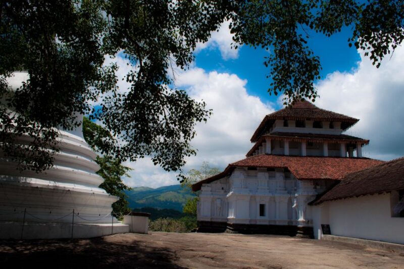Kandy: Historical Three Temples All-Inclusive Tour - Customer Ratings
