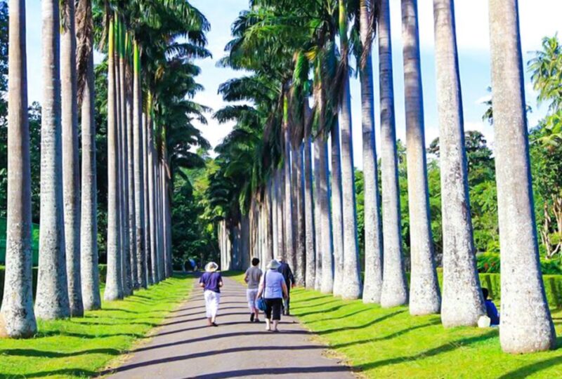 Kandy Majesty: Full-Day Feast & Explore With Lunch - Itinerary Highlights