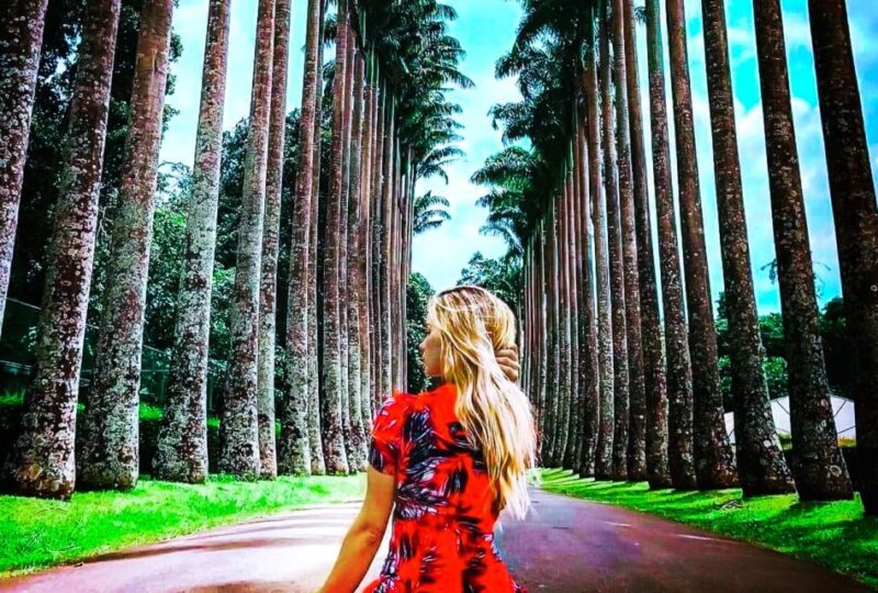 Kandy Majesty: Full-Day Feast & Explore With Lunch - Cultural and Historical Significance
