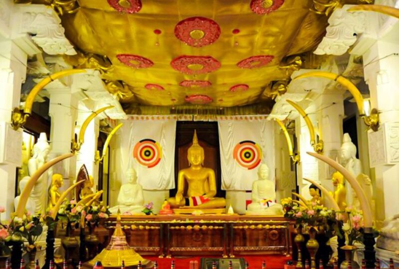 Kandy Majesty: Full-Day Feast & Explore With Lunch - Pickup and Transportation