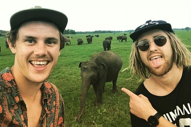 Kandy - Minneriya National Park & Sigiriya Rock Fortress (Tours & Entrance Fees) - Wildlife and Cultural Experiences