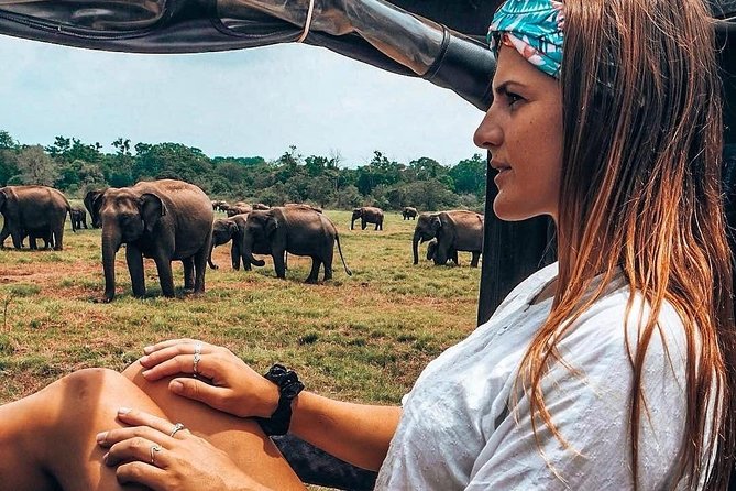 Kandy - Minneriya National Park & Sigiriya Rock Fortress (Tours & Entrance Fees) - Traveler Reviews and Feedback