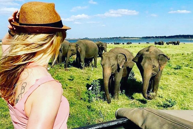 Kandy - Minneriya National Park & Sigiriya Rock Fortress (Tours & Entrance Fees) - Additional Information