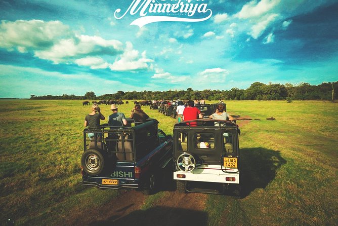 Kandy - Minneriya National Park & Sigiriya Rock Fortress (Tours & Entrance Fees) - Private Day Trip Highlights