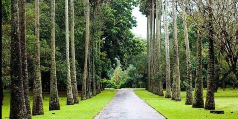 Kandy & Nuwara Eliya: 2-Day Tour! - Ancient Temples and Botanical Gardens