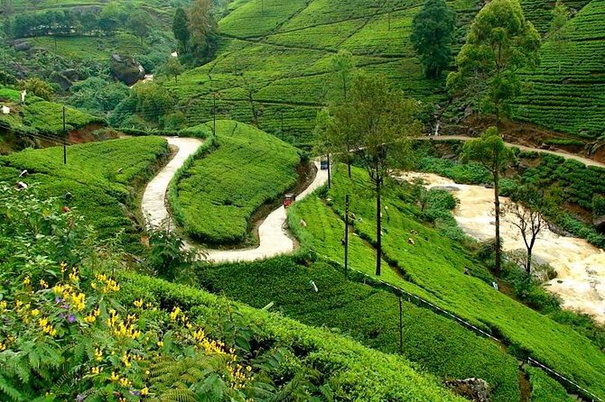 Kandy & Nuwara Eliya | 2 Days Tour - Tour Overview