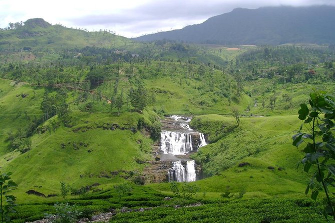 Kandy & Nuwara Eliya | 2 Days Tour - Private Tour Experience